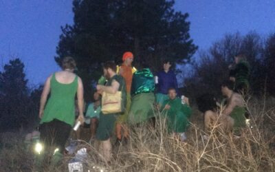BoulderH3 #941: Purim Green Dress